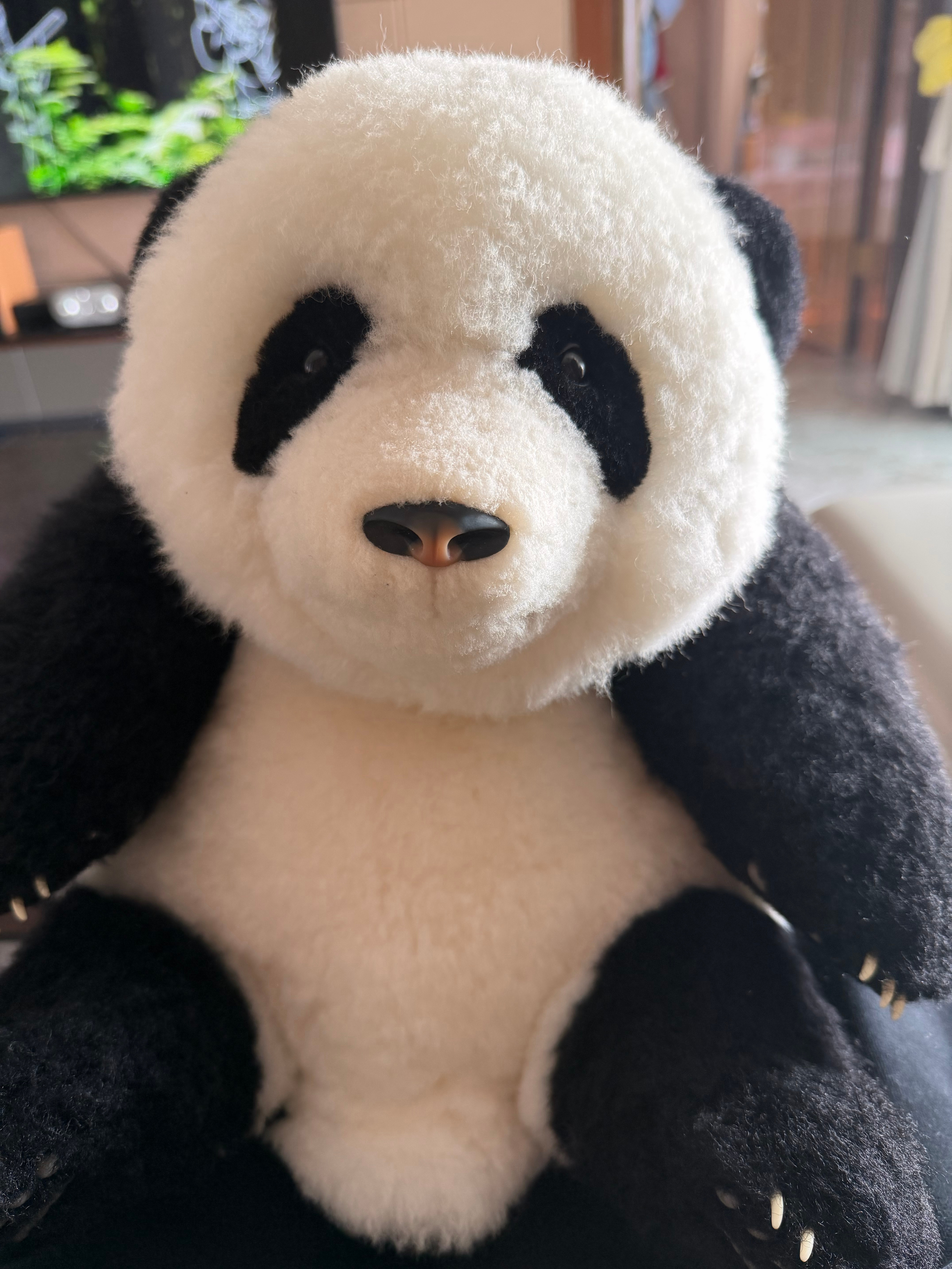 今天冬至大家都吃啥？我家是南北都有，准备吃了饺子加汤圆？ 