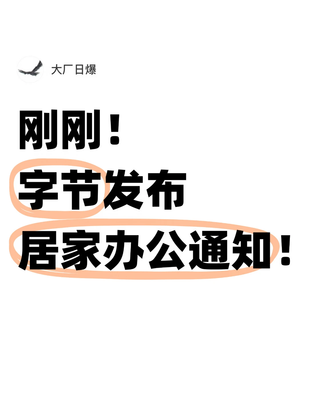 台风来袭！字节上海、杭州工区通知灵活到岗
