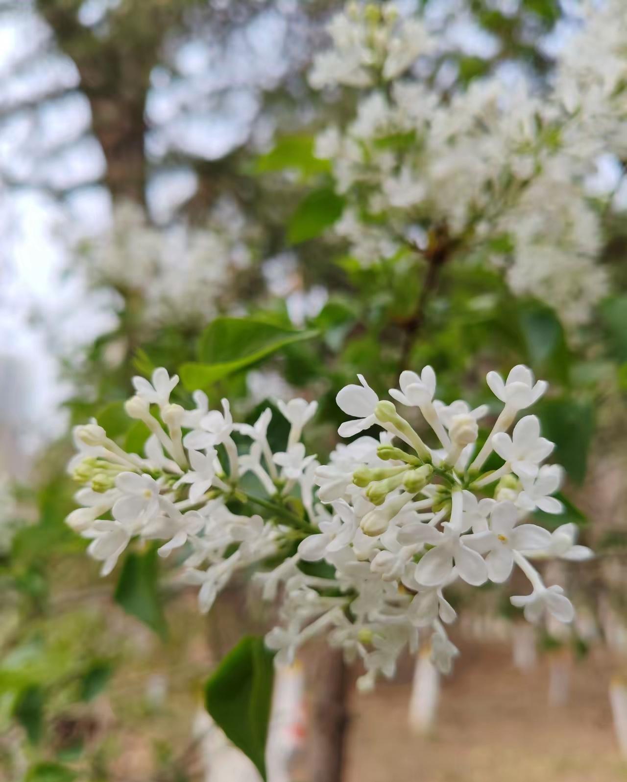 今天比昨天好，这就是希望
 
昨日烦恼随风飘散，
今朝心怀一抹暖阳。
不必纠结过