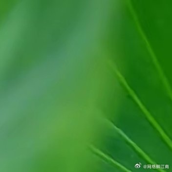 哲思呓语 多要求自己，你会更加独立，少要求别人，你会减少失望。宁愿花时间去修炼不