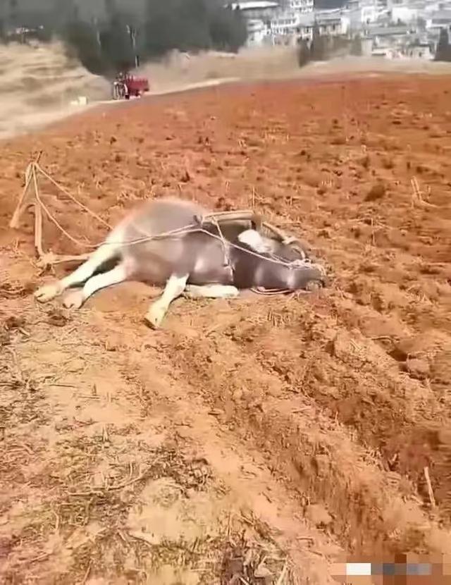 男人们对这张图都有着深刻体会[捂脸][捂脸][捂脸]