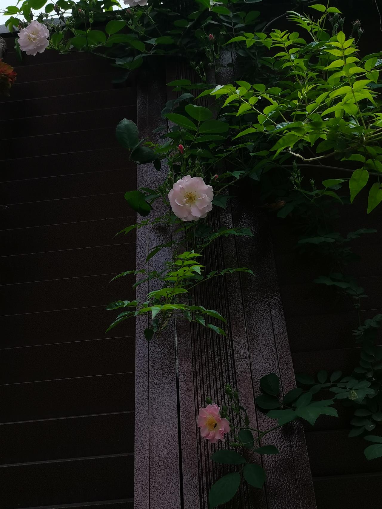 关闭朋友圈一周，
已经不再频繁打开某信刷朋友圈，
感觉之前像是活在朋友圈里，
观