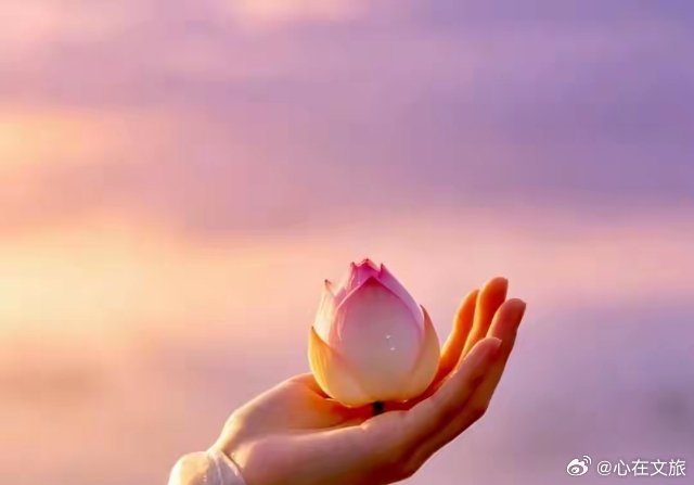 泸州情感语录[超话] 生活一半烟火谋生，一半诗意寻本心。  ​​​