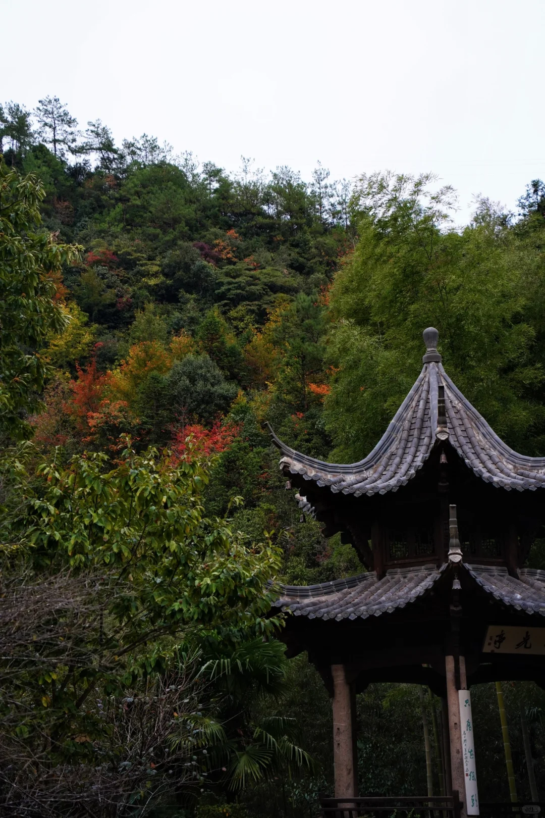 三清秋意浓🍁正是山里出游好时节