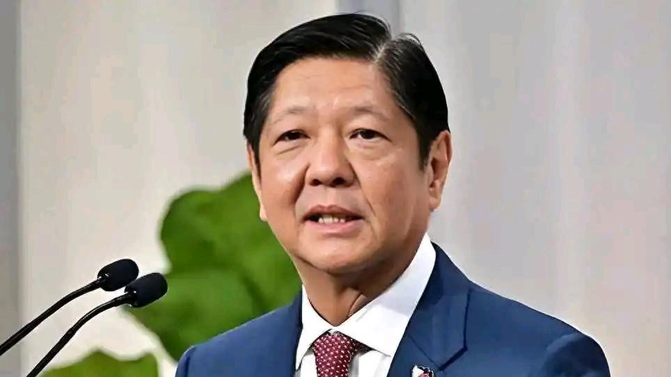 截至2026年5月17日，针对菲律宾副总统莎拉，杜特尔特的弹劾案已从众议院进入参