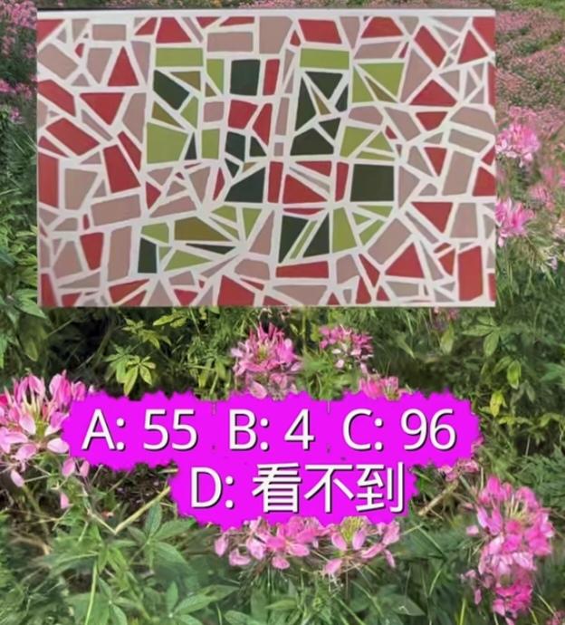 〔看图猜数字〕为了自己和家人的安全。开车必须得有驾驶证。过了这关。你才能考科目一