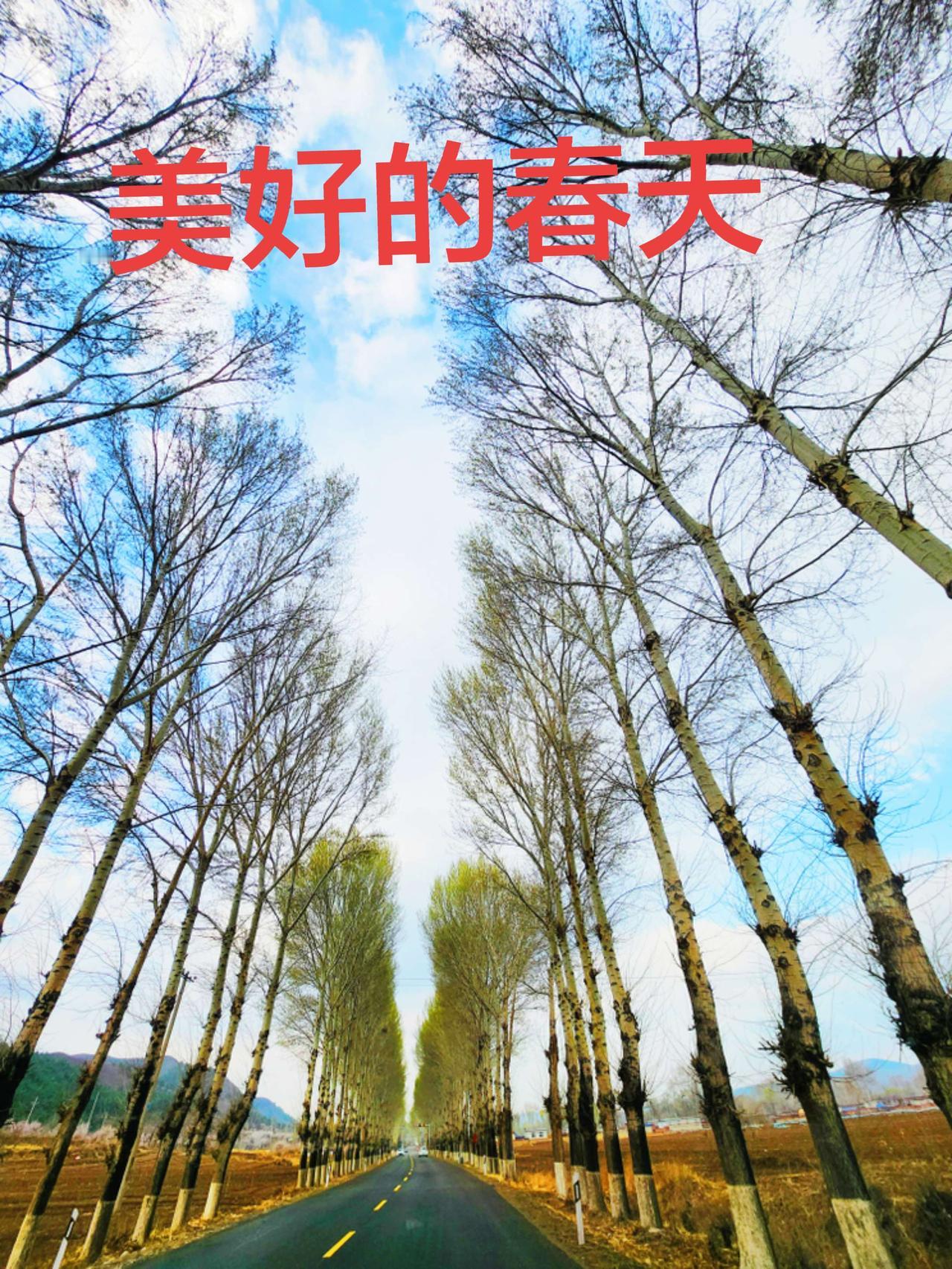 春春春天第一视角 朝阳头条