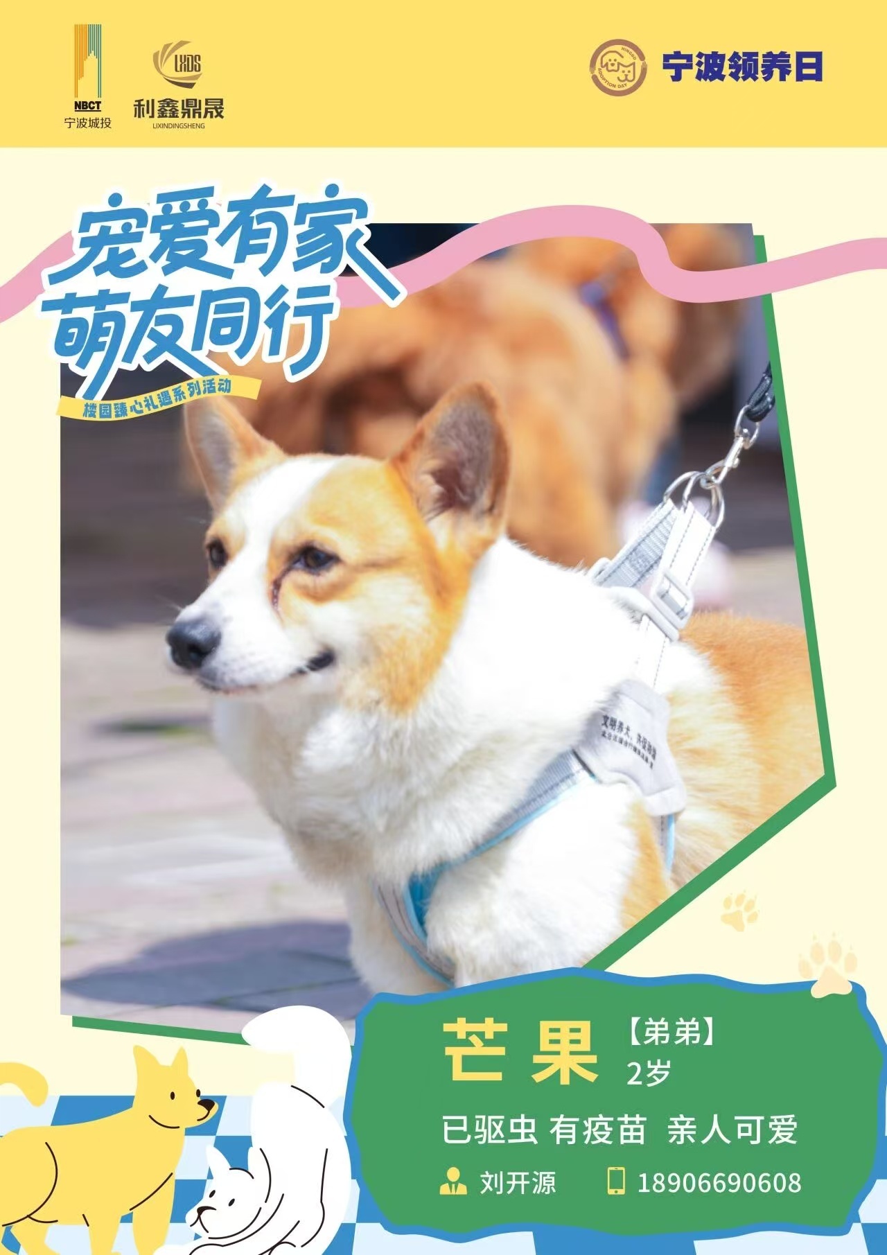 宁波领养日领养快闪又来啦 领养快闪来袭🐱🐶5月8日（周五）中午11:30-1