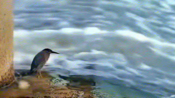 多大的能力做多少的事，自己靠努力得来的可能不多，但能吃饱穿暖[得意]
