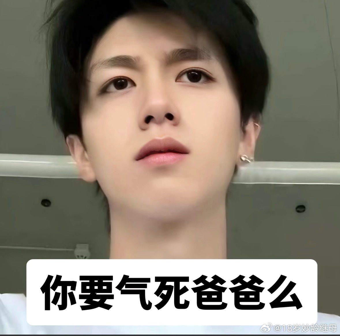 有无这种表情包 