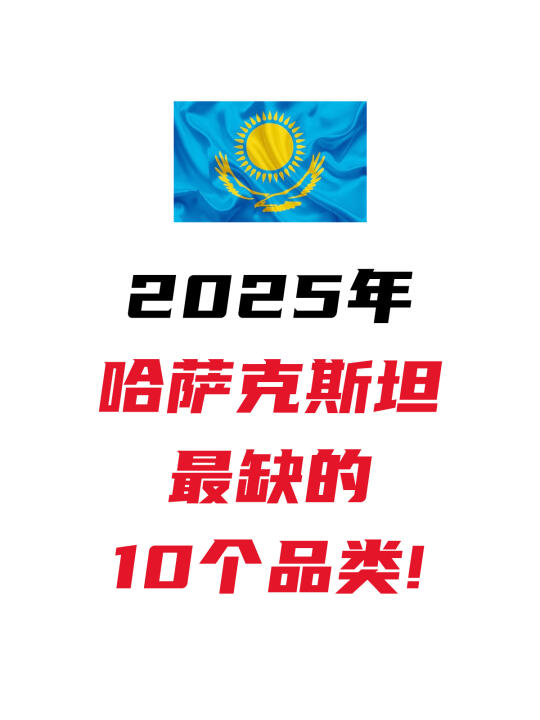 2025年哈萨克斯坦最缺的10个品类