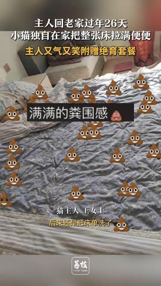 主人回老家过年26天，小猫独自在家把整张床拉满便便，主人又气又笑附赠绝育套餐。