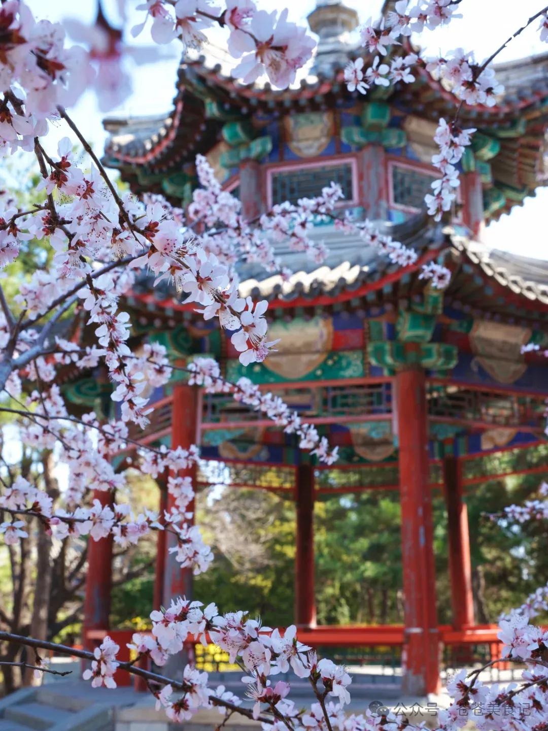 上联：昨夜清风梳绿柳，
下联：今晨濛雨润红梅。