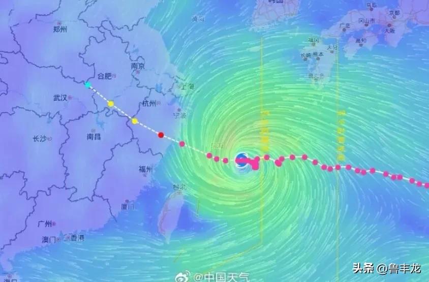 “今年第 13 号台风“白海豚”已于 2026 年 8 月 9 日 17 时 3