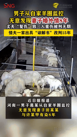 自古奸情出人命！河南新乡，男子偶然间从监控中发现，妻子和陌生男子在自家羊圈内鬼鬼