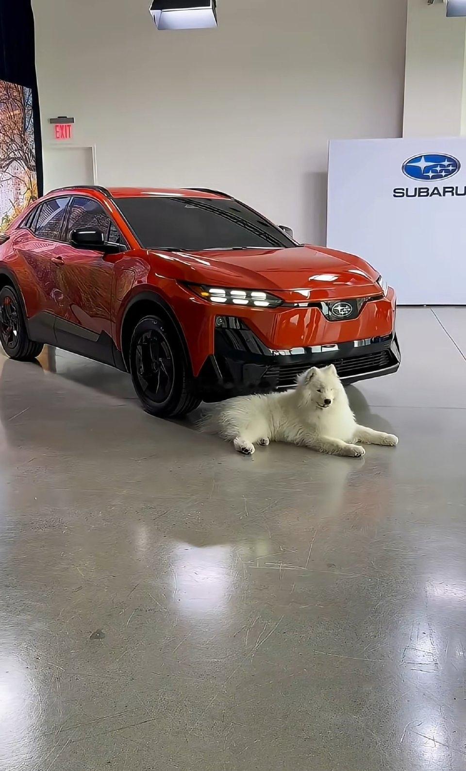 斯巴鲁的这张图片，您打算给配段啥文字呢？？？