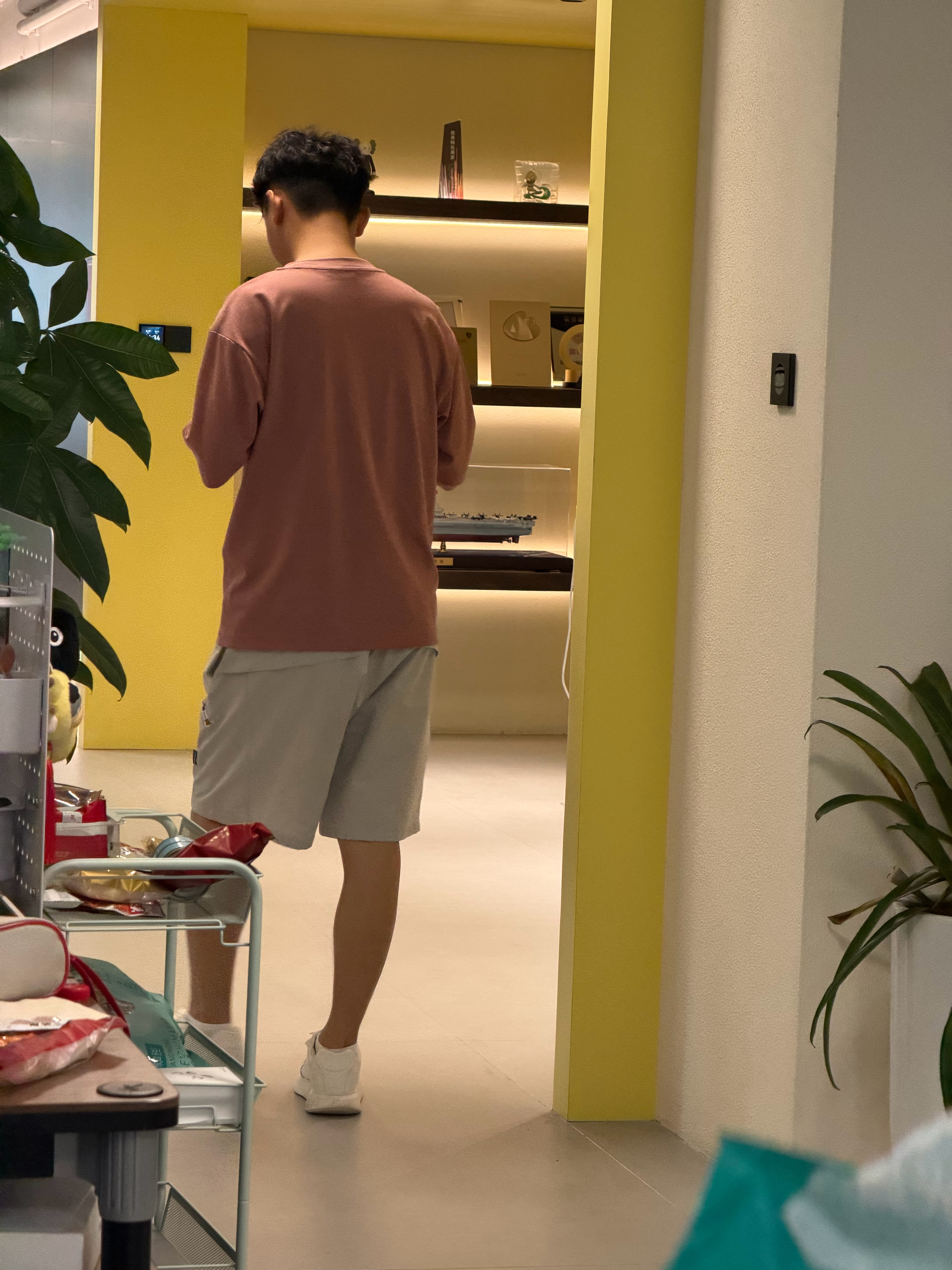 老板来公司了，公司仿佛切换了静音模式，连一个咳嗽的人没有，平常这个时候，大家高谈