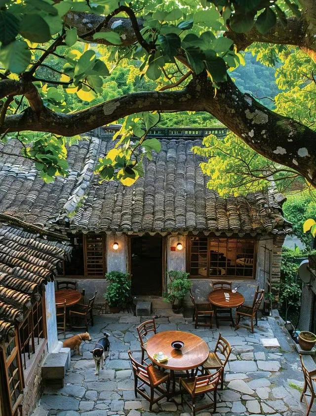 等我老了，就回这样的小院住下。
青瓦石墙，树影婆娑，夏天有风，冬天有阳。
院子里