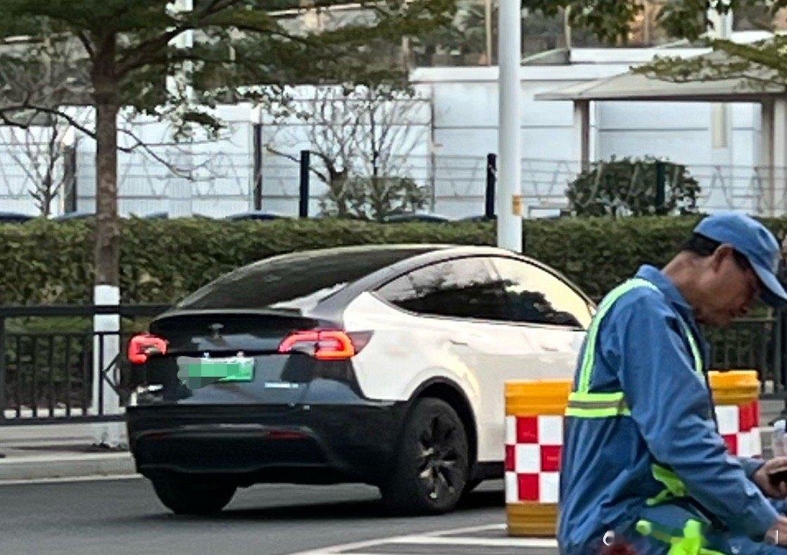 这个双色车身 modely  的审美你怎么看？ 