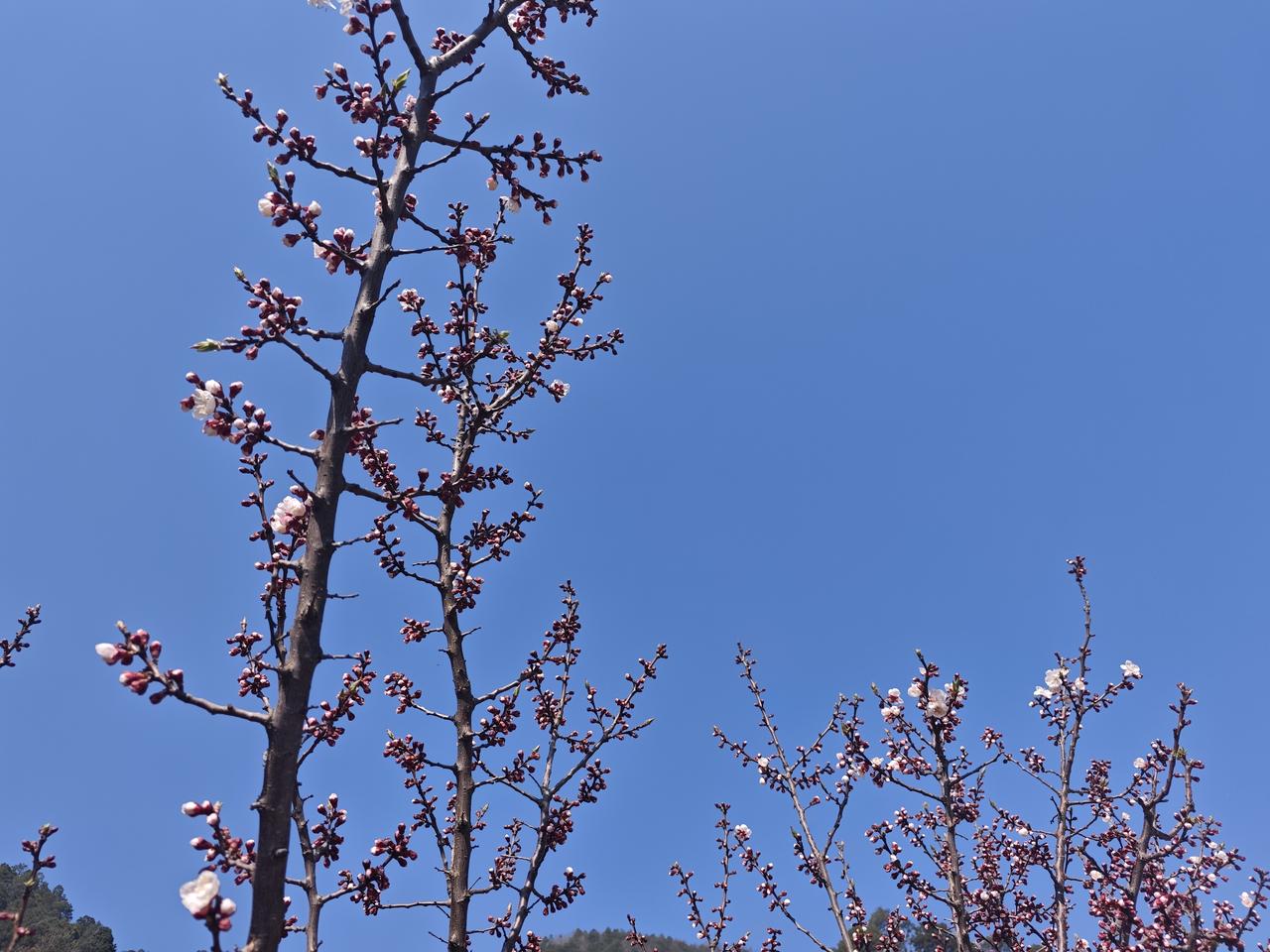 吉祥高照，五马奔腾，财源滚滚，时来运转，万事顺利，阳光明媚，春暖花开，六六大顺！