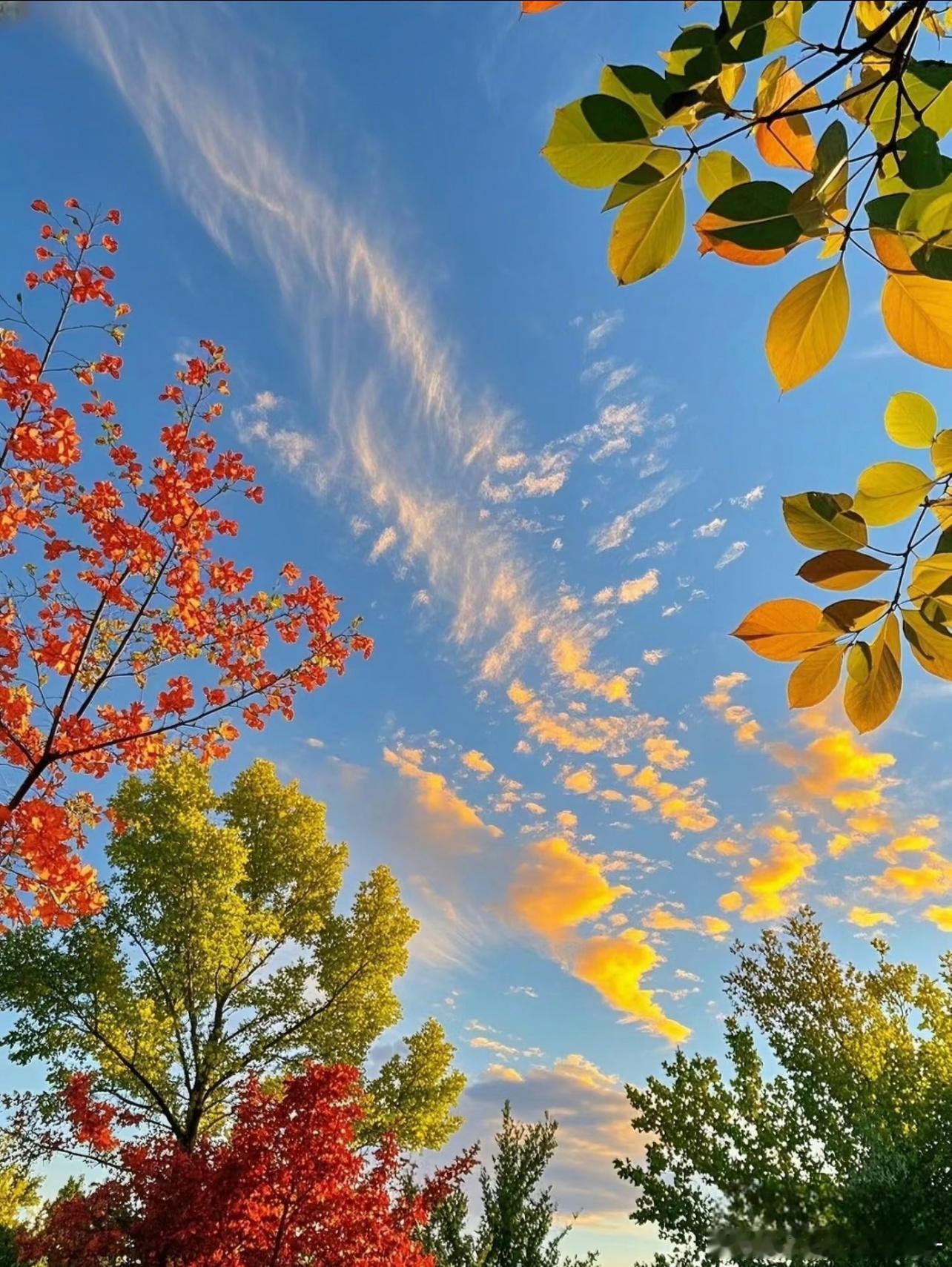 生活的天空不可能永远清澈透明，有风雨也是常事。但只要向阳而生，保持内心的天空始终