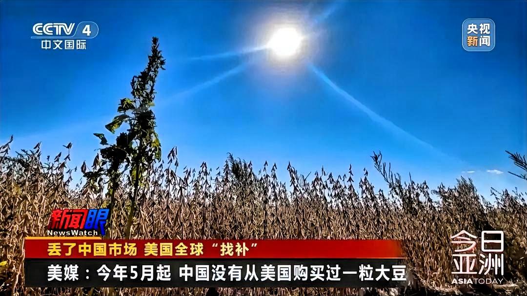 - 中国大豆需求规模大且依赖进口：中国每年大豆需求量约1亿吨，而国内产量仅200