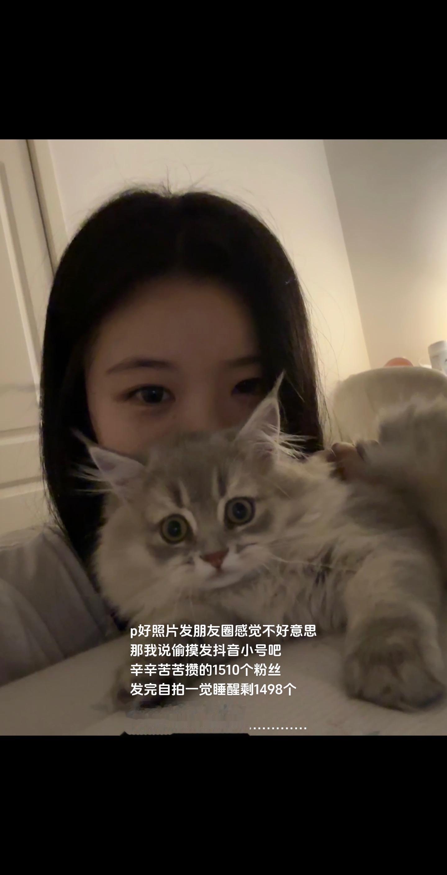 小猫是平淡生活的解药 有镜头感的小猫 猫猫合影图片 萌宠出道计划 这是...