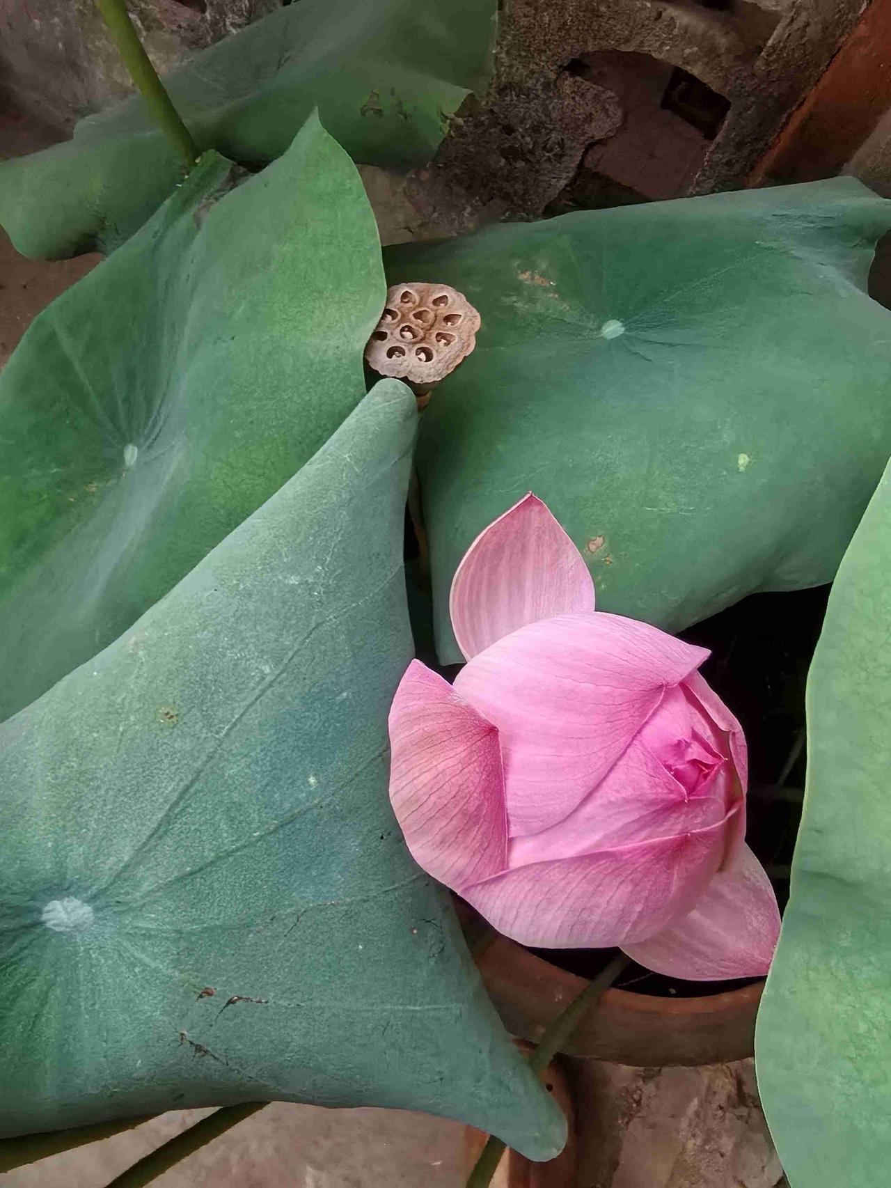 我的今日状态：😁轻松愉快
我这里的天气：☀️晴天