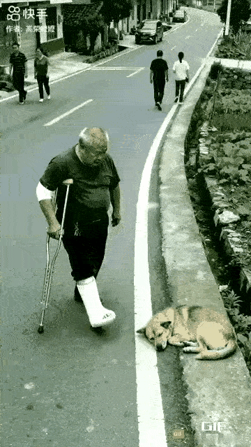 这大爷左腿废了，右腿也不想要了吗

太坏了，都这样了还想着干坏事，狗狗躺那也没碍