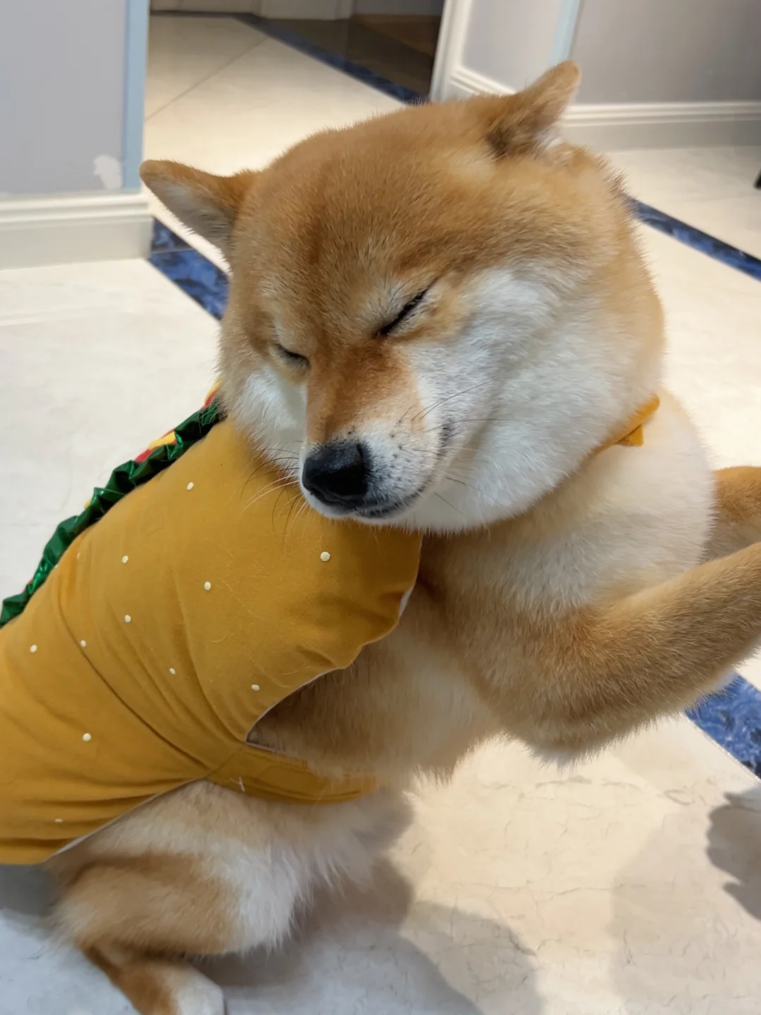 有什么事不能好好说