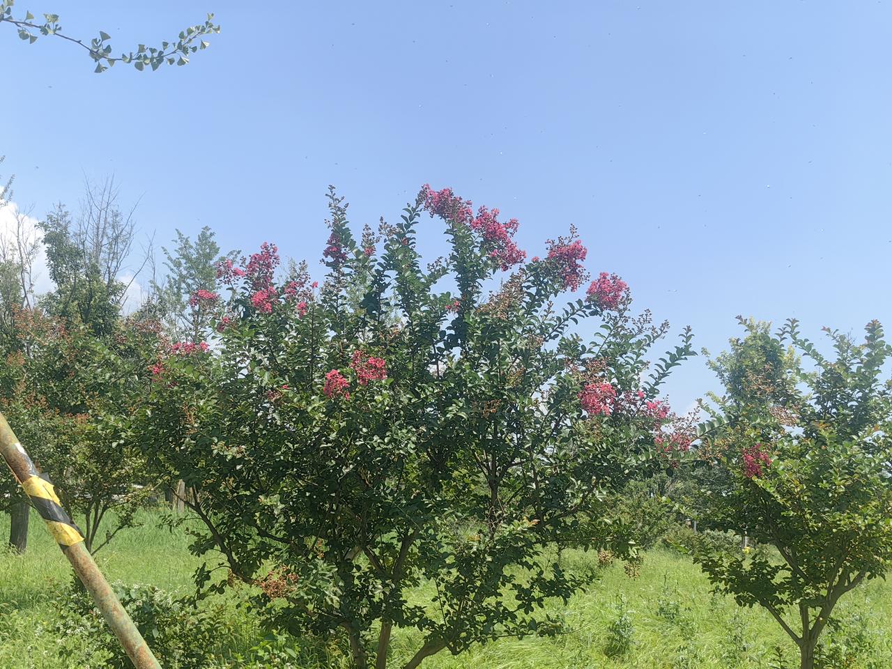 治愈风光图分享