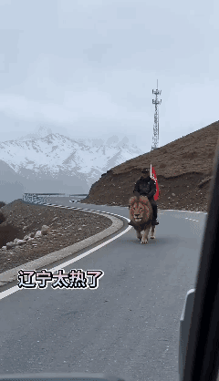 AI 视频制作都这么高水准了吗？[黑脸]