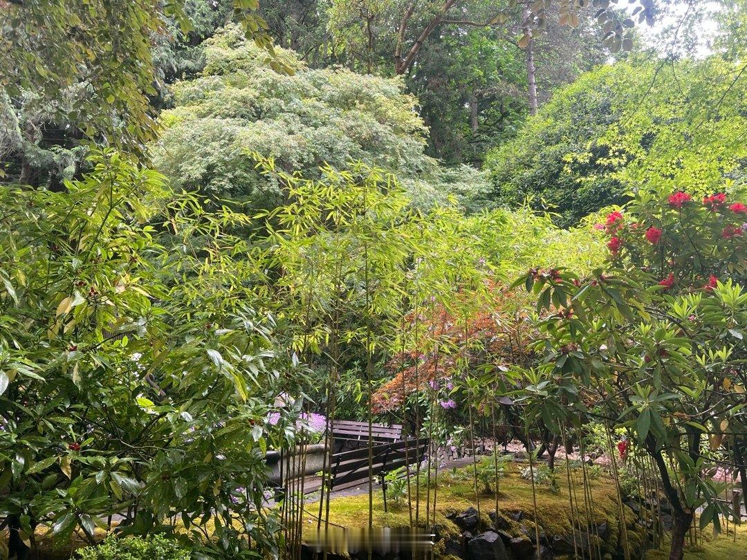 Butchart Garden (5) 