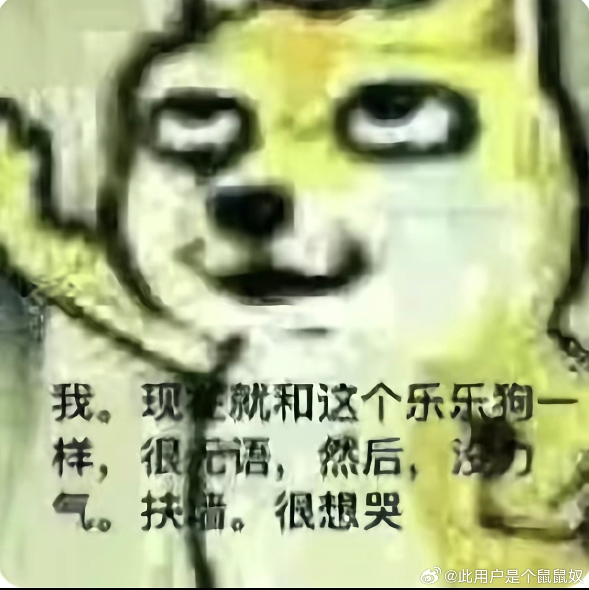 我续火花都续不耐烦了。 
