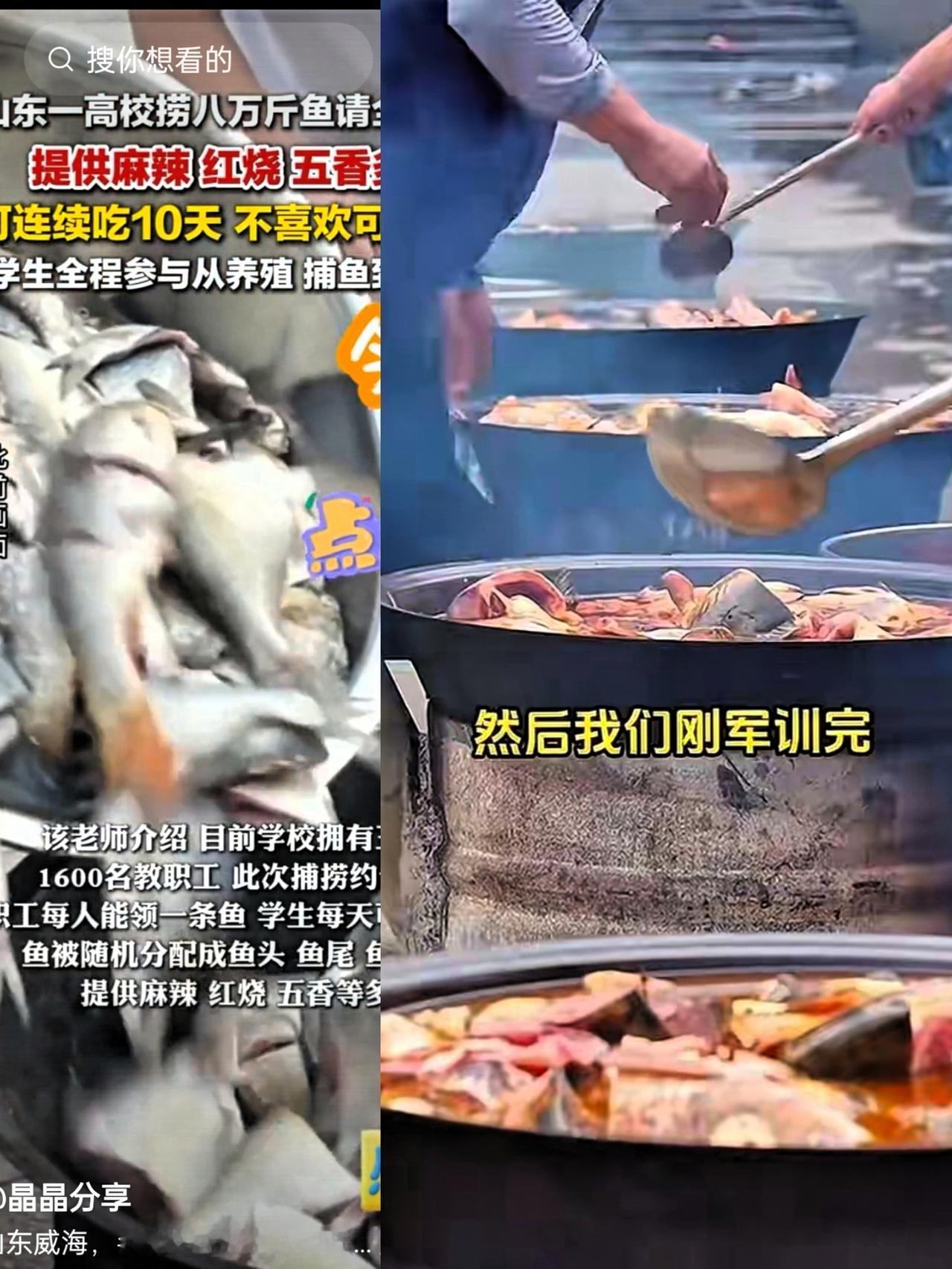 我的天！ 
第一次听说这种事
山东一高校捞了七八万斤鱼请全校师生吃鱼，好！真好！