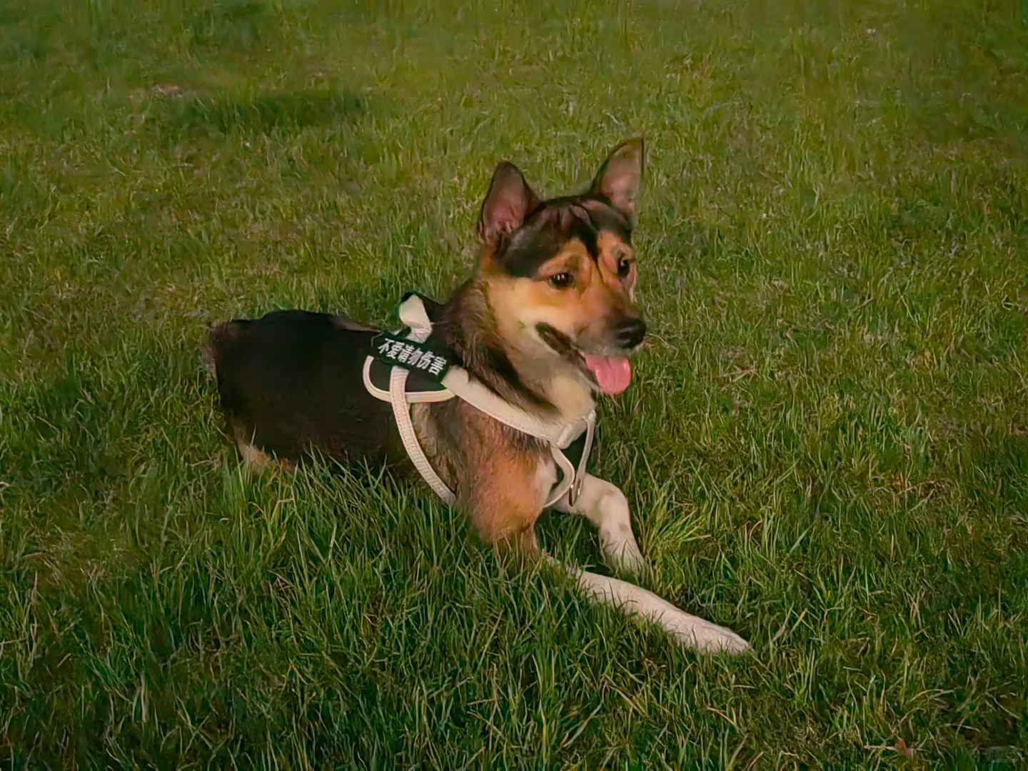 好久不见咯姨姨们！