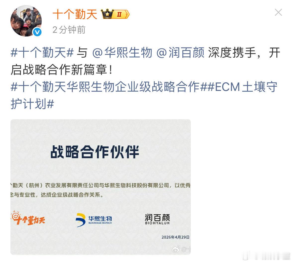 十个勤天越来越像企业号了一路走来全是汗水和坚持，十个勤天用实力证明自己。账号打理