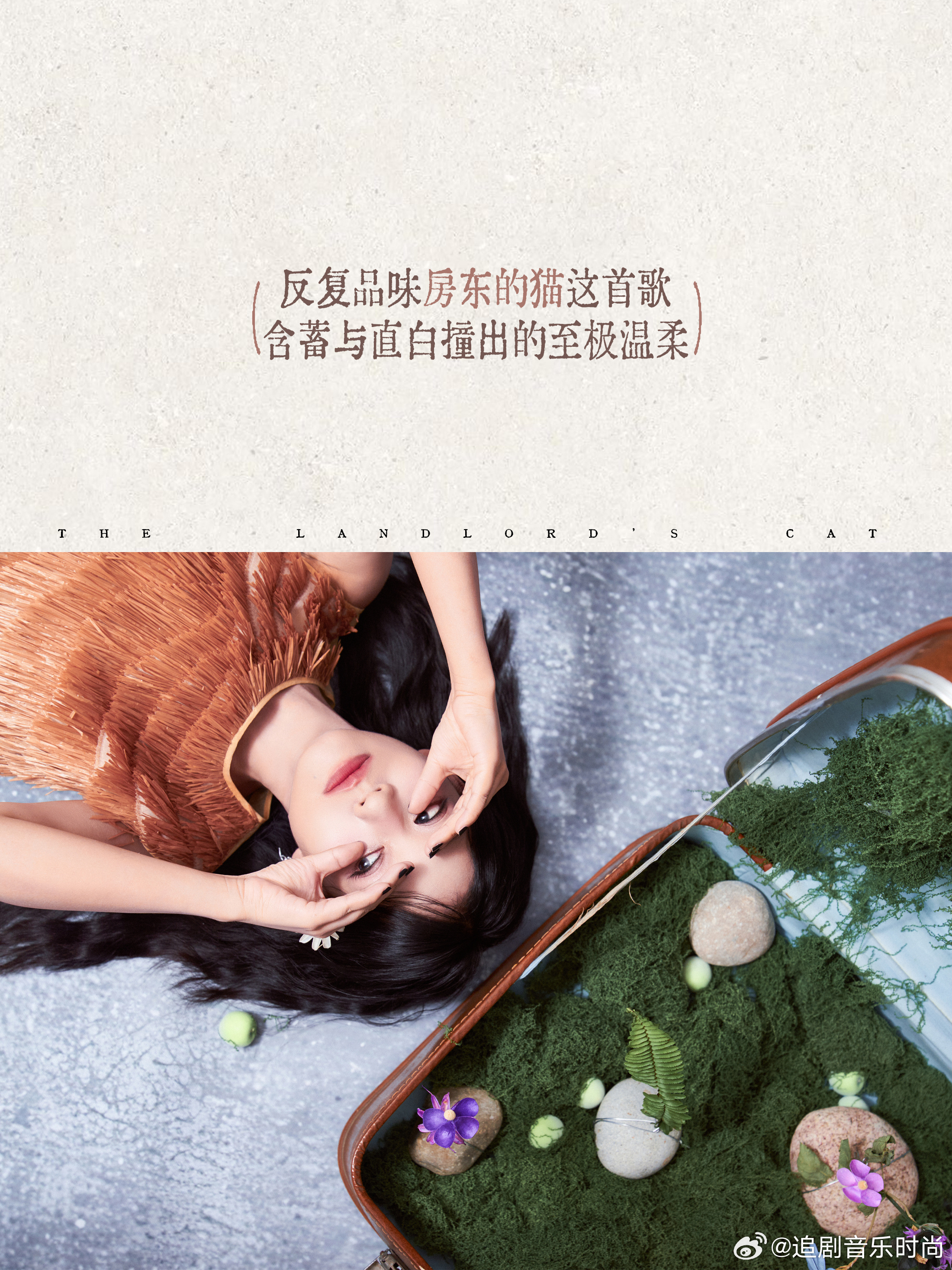 房东的猫新专辑不擅生长的树房东的猫新歌我们拥有一扇门吗 反复品味房东的猫这首歌，