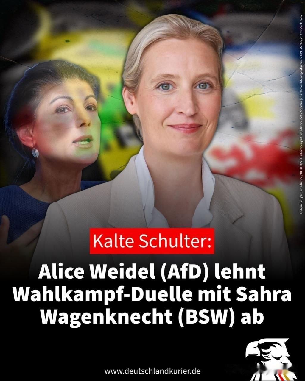 🇩🇪拒之门外：AfD（德国选择党）的爱丽丝·魏德尔（Alice Weidel