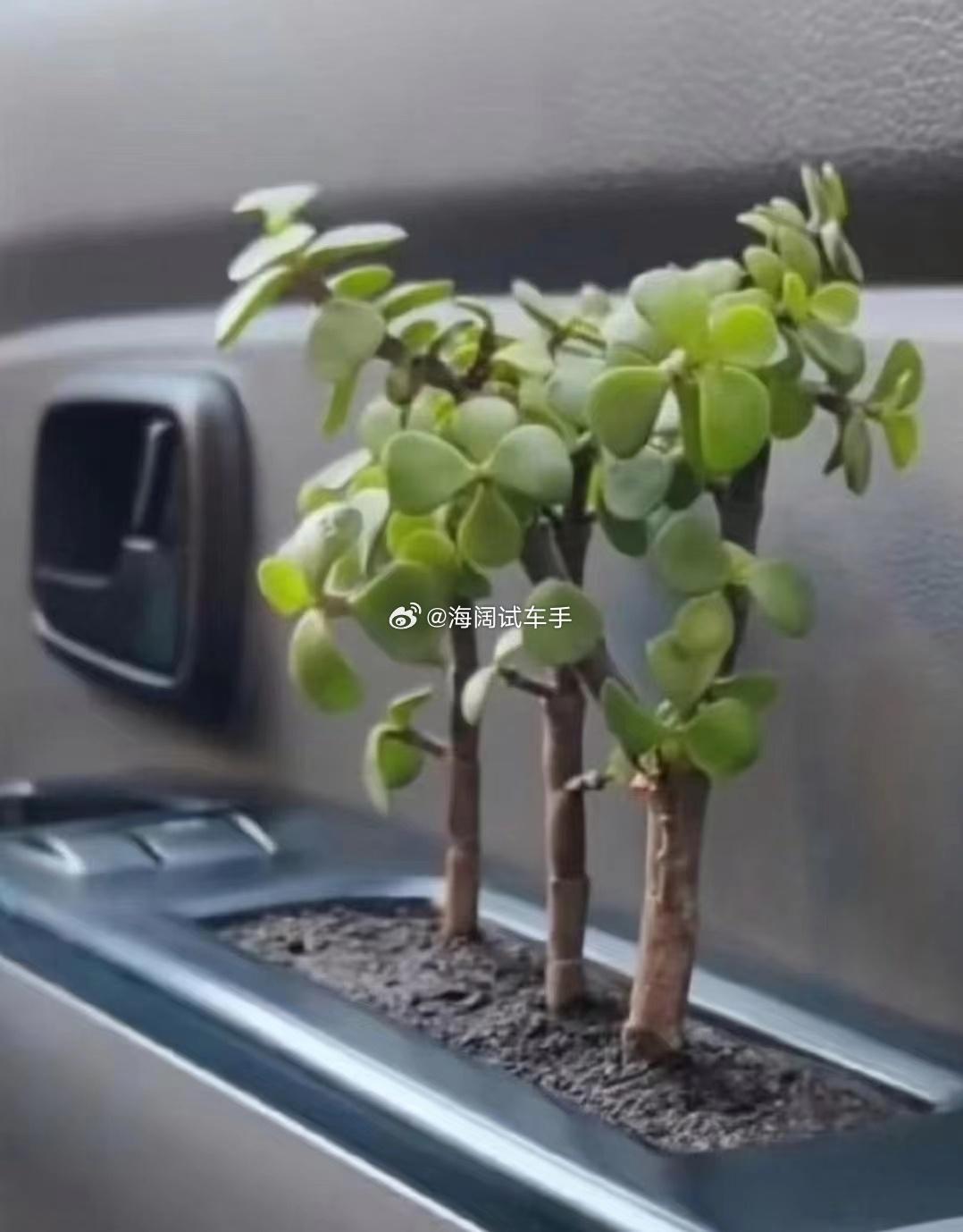 这算是汽车改装的新项目吗？？？
