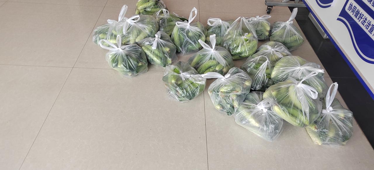 昨天我回农村父母家，我想给本村的亲属带点东西，空手回去不好意思。我问父母农村黄瓜