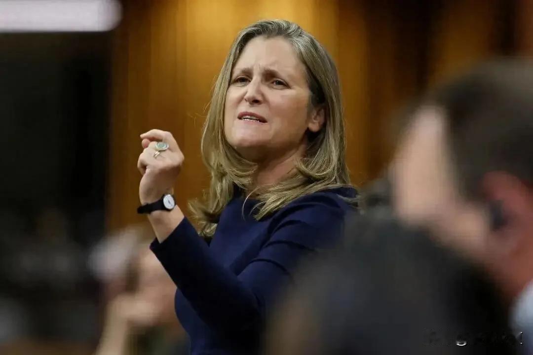 彻底看透美国！加拿大前副总理含泪总结：对美国越忍让，只会被坑得越惨。
 
跟美国