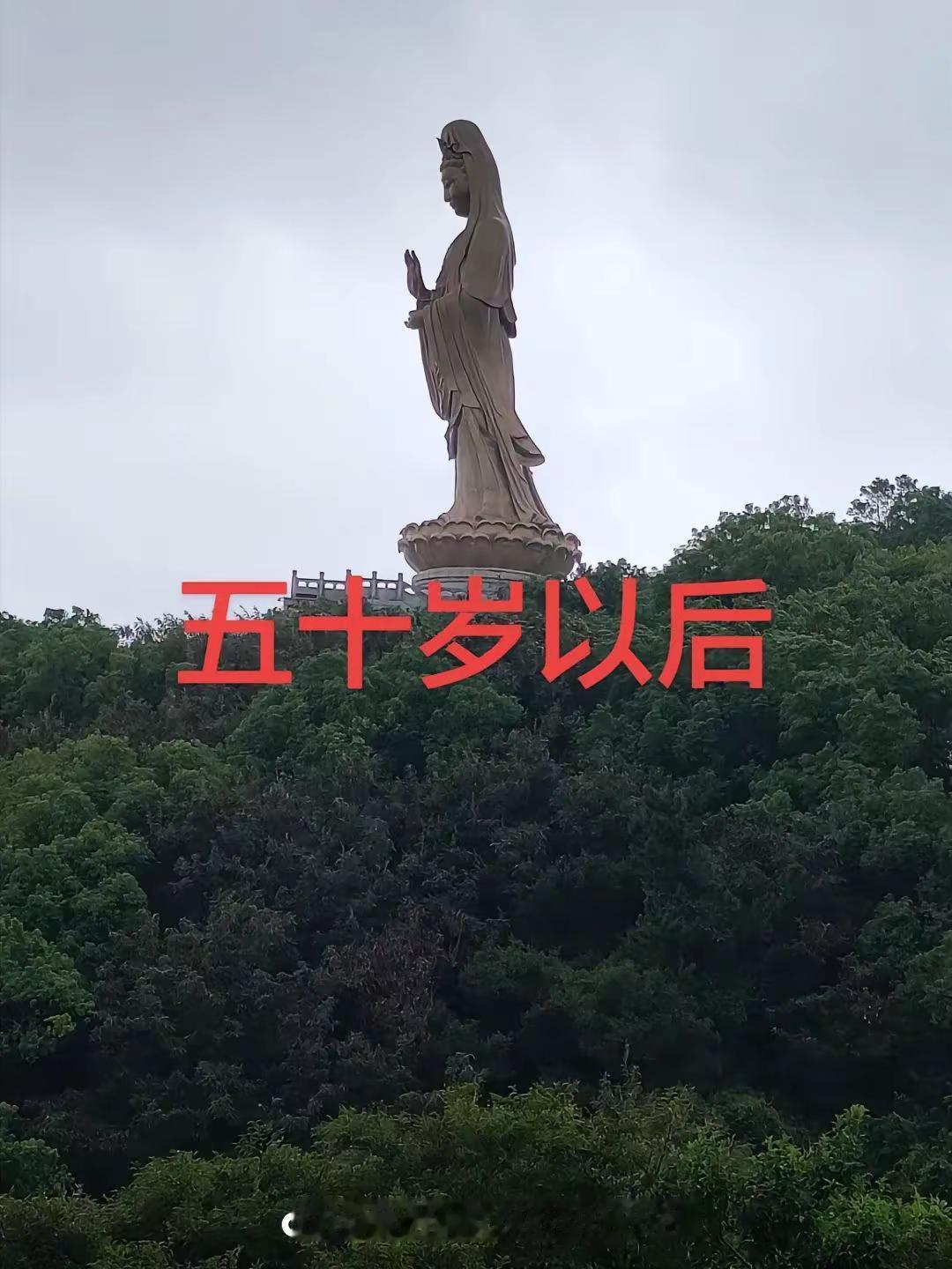 友友们下午好。