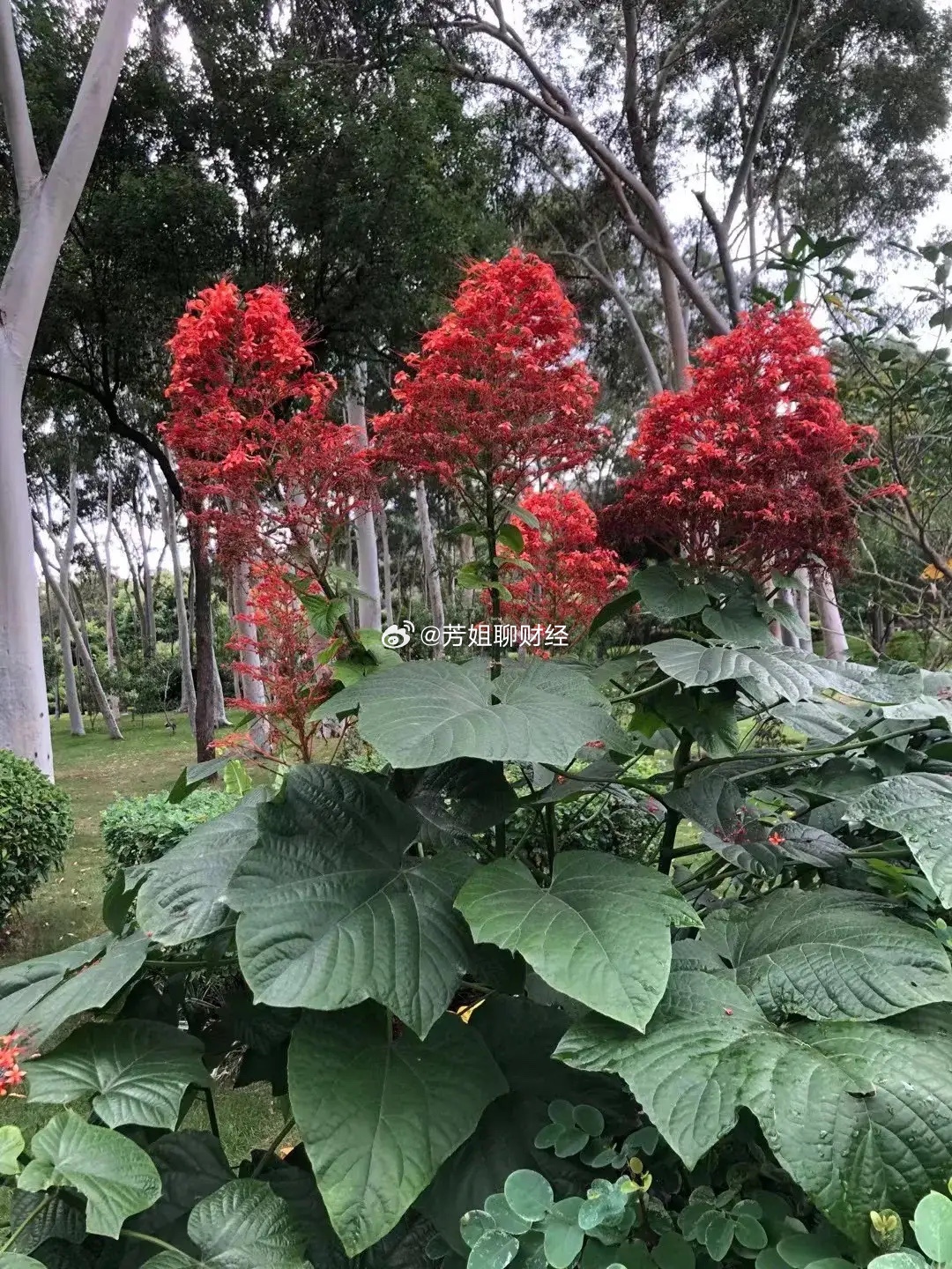 宇树机器人核心供应商！1，零部件供应商2，运动控制与电机供应商3，视觉与传感器供