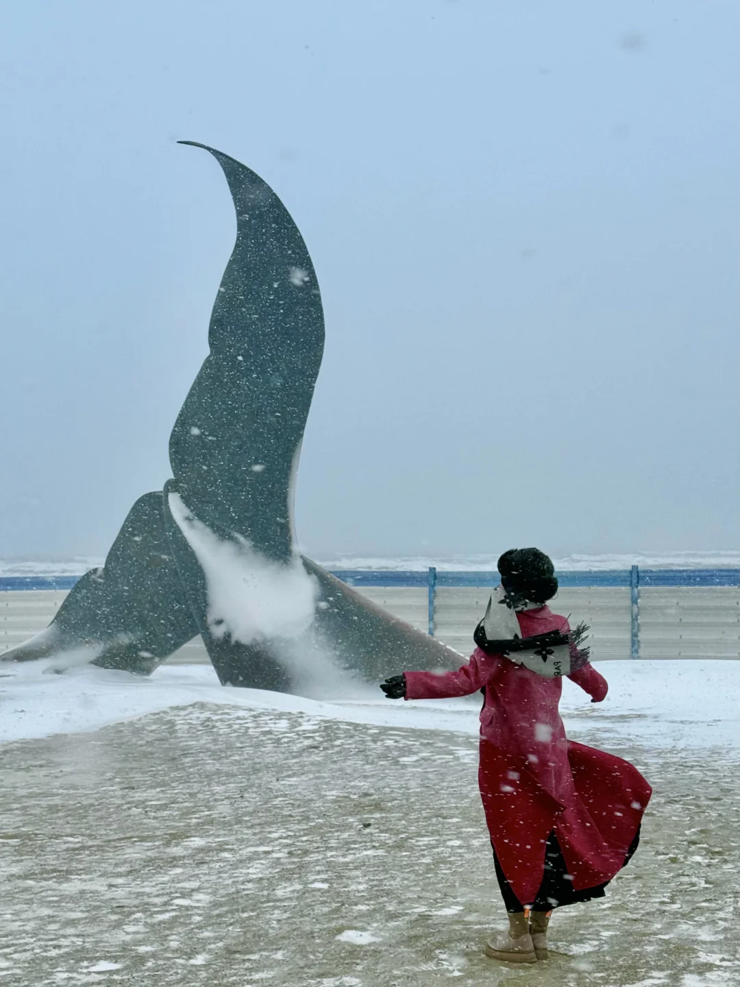 1.9实况🌀孤独的鲸+暴风雪！这宿命感绝啦！！