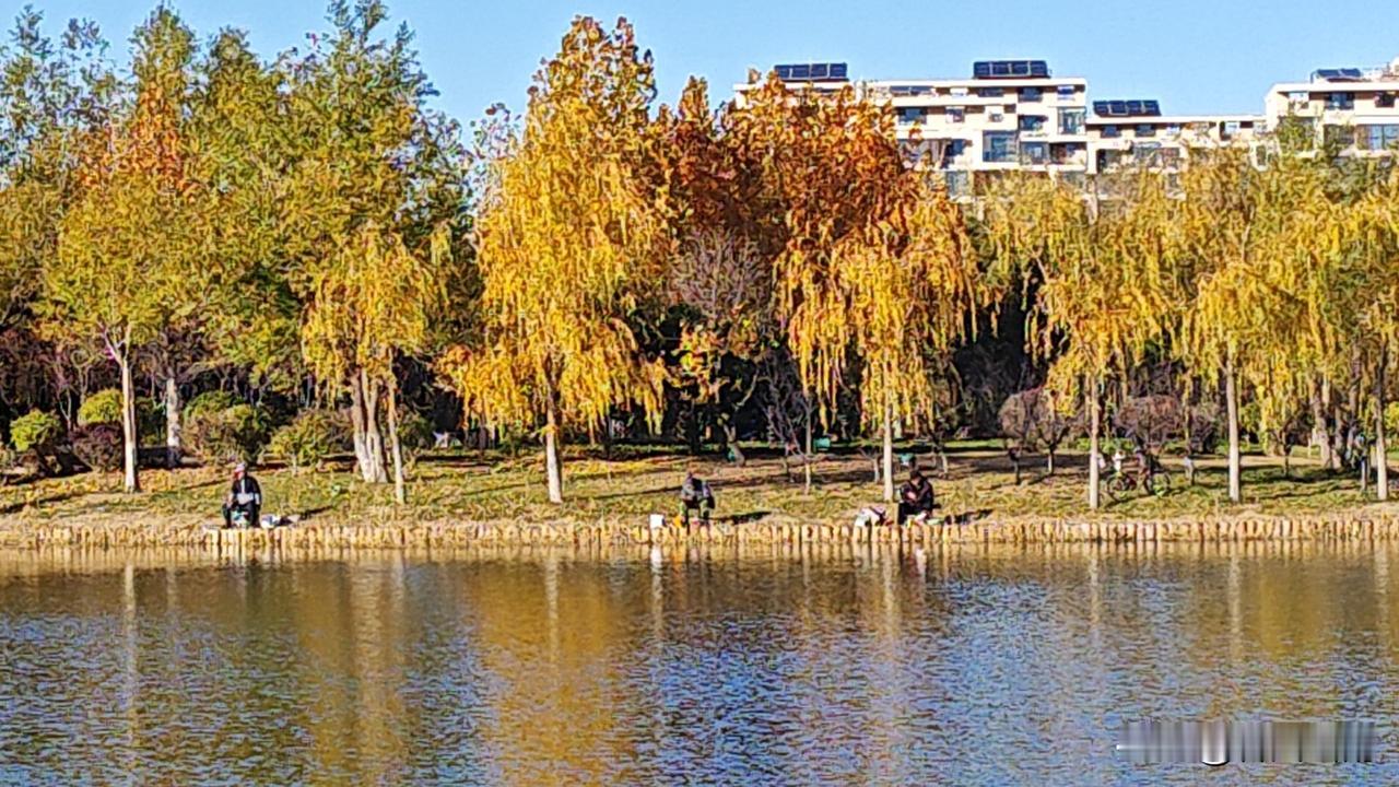 东营人真的很富裕吗?富不富裕暂且不说，东营当地的外地人之间曾流传过一句话:“人傻