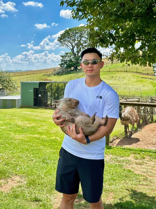 🇦🇺终于在悉尼抱到袋熊了