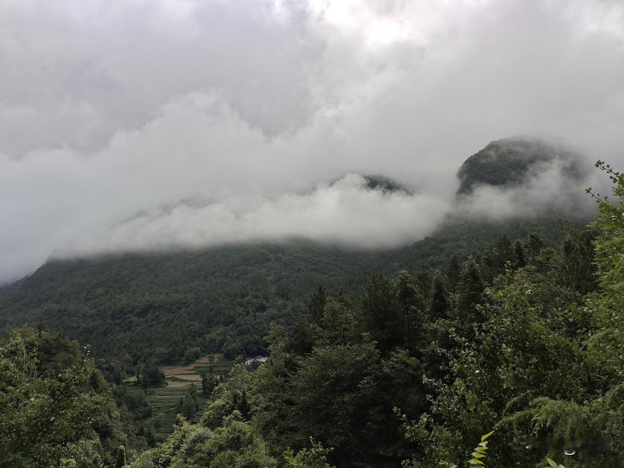 苏幕遮41·重庆木根铺
岭云沉，山雾袅。万叠烟罗，轻裹青崖峤。
果塑连环亭畔俏。