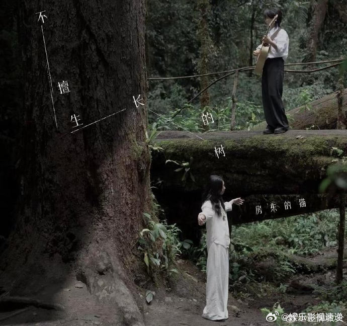 房东的猫新专辑不擅生长的树房东的猫新歌请对我讲放下心头积攒已久的遗憾，从前经历的