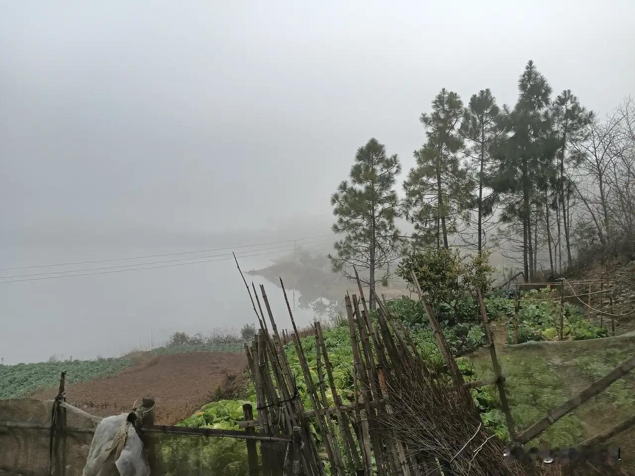 这是一个看似简单，却充满深意的问题：你有钱了，会在老家农村建房，还是在城里买房？